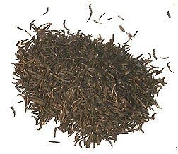Black Cumin Seeds 50 g (Kala Jeera/Nalla Jeelakarra/Karunjeeragam)