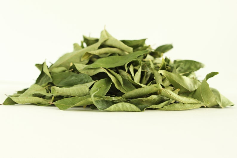 Dried Curry Leaves 50 g (Neem Patta)